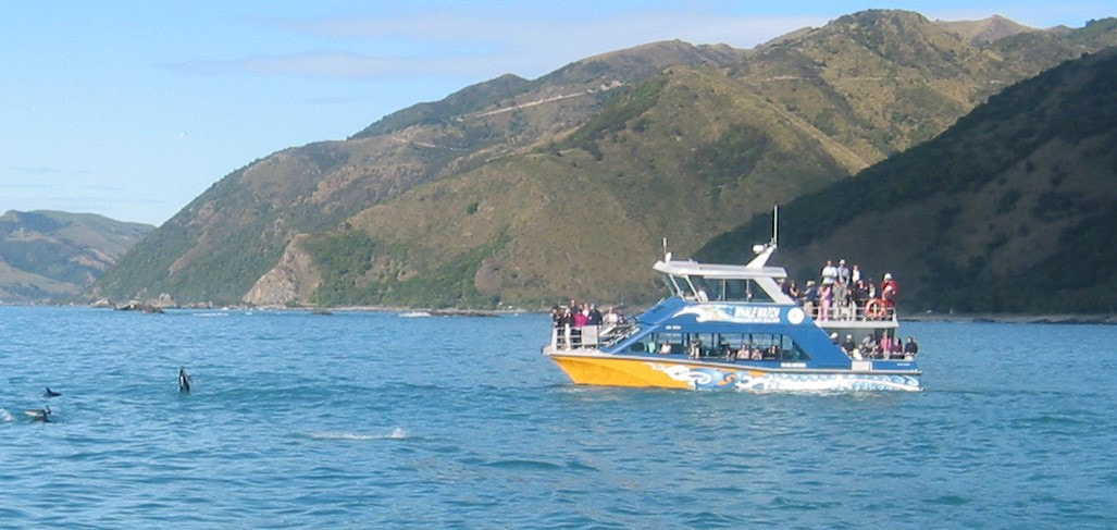 Billede af udflugtsbåd på vandet