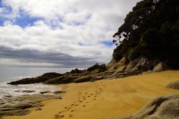 Billede af strand i Abel Tasman