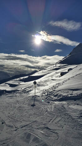 Billede af skilandskab