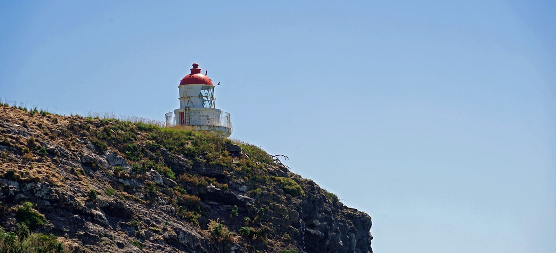Billede af fyrtårnet på Otago-halvøen