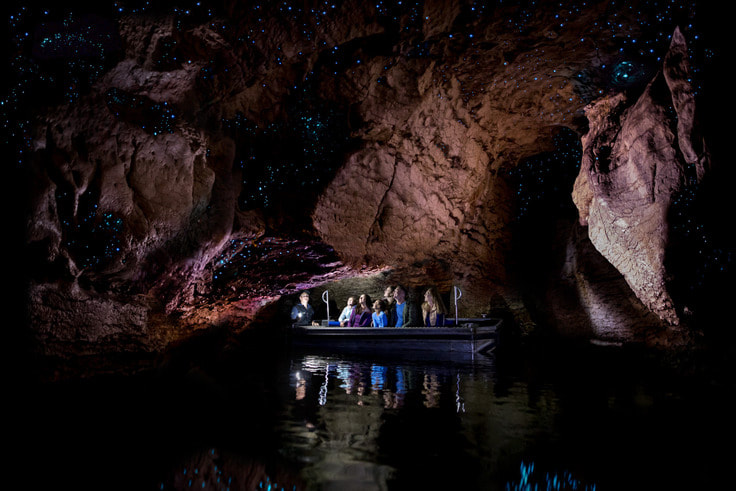 Billede af grotterne ved Te Anau
